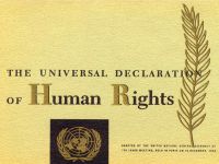 Nacionalni program zaštite ljudskih prava djelomično ostvaren