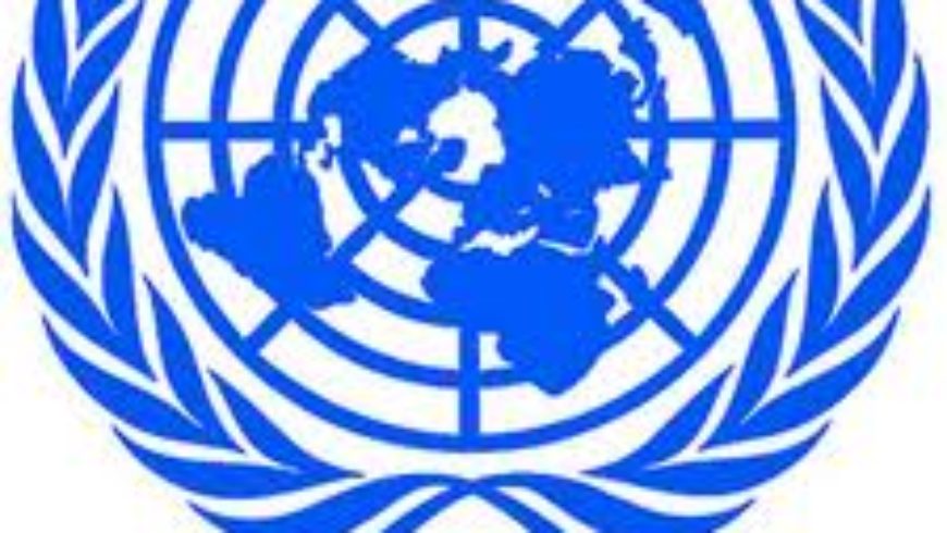 UN i globalni trendovi u zaštiti ljudskih prava